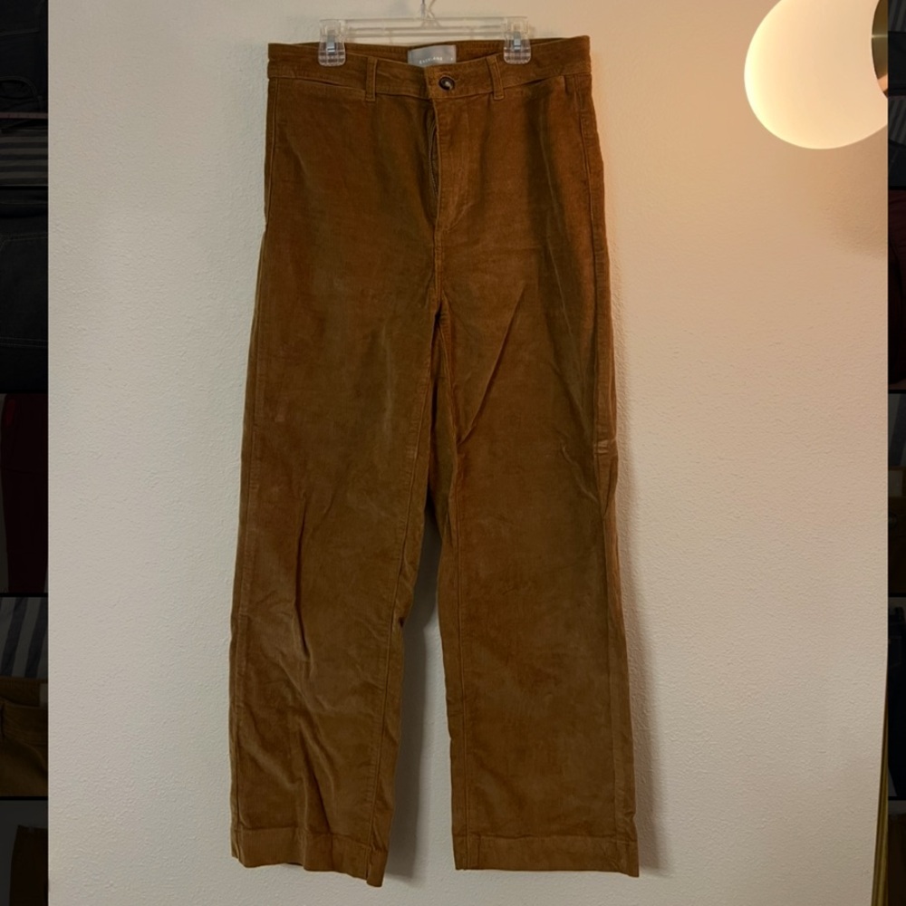 Everlane Wide Leg Pants in Tan